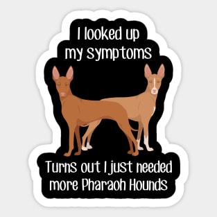 Need Pharaoh Hound Dog Sticker